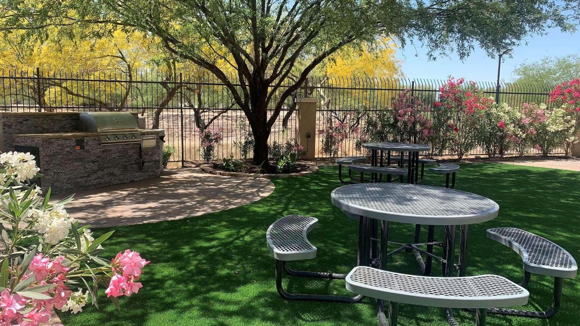 Country & By Radisson, Center Az
